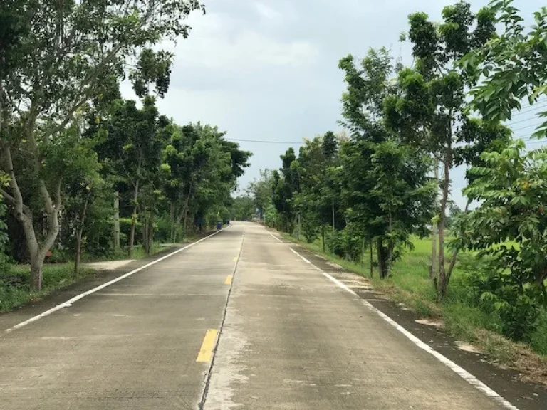 ขายที่ดิน 106 ไร่ ในซอยวัดลาดปลาดุก เหมาะทำโครงการบ้านจัดสรร