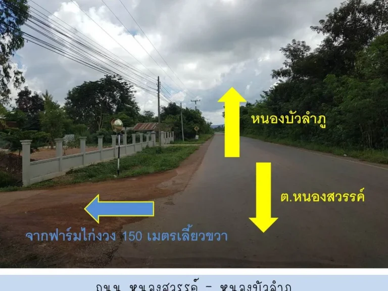 ขายที่ดินเปล่า 229 ตรวา C19 อเมือง หนองบัวลำภู Land 229 sqwa Muang Nongbualamphu for sale