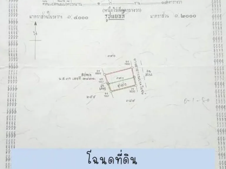 ขายที่ดินเปล่า 229 ตรวา C19 อเมือง หนองบัวลำภู Land 229 sqwa Muang Nongbualamphu for sale