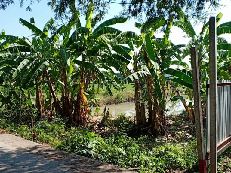 ขายที่ดิน 2 ไร่ ตสามบัณฑิต ออุทัย จพระนครศรีอยุธยา