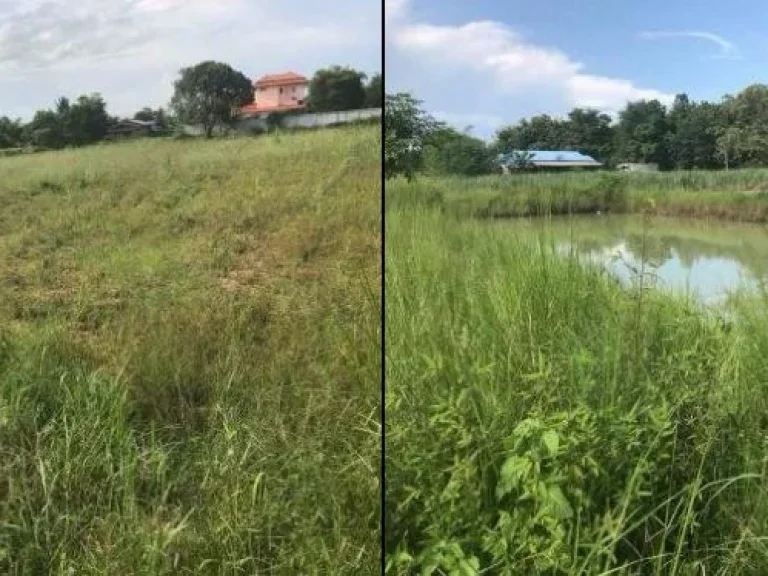 ขายด่วน ที่ดินที่นาบ้านปะโค อำเภอกุมภวาปี จังหวัดอุดรธานี