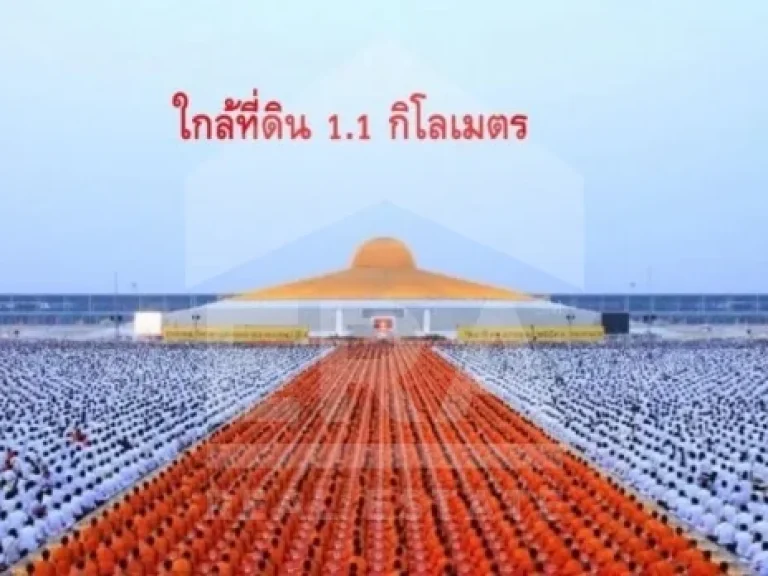 ที่ดินเปล่า 2 ไร่ ถนนเลียบคลองสาม ซอย 111 อคลองหลวง จปทุมธานี