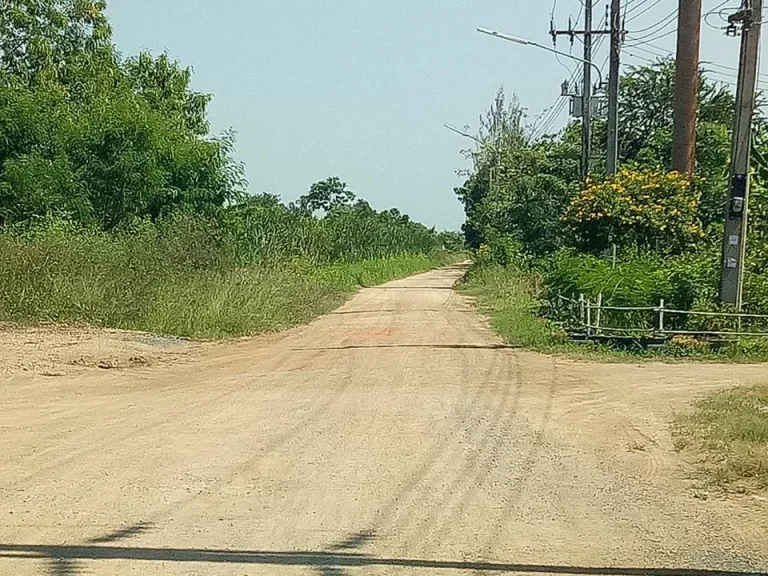 ที่ดินเปล่า คลอง 6 ปทุมธานี ติดถนน เดินทางง่าย ไม่ลำบาก