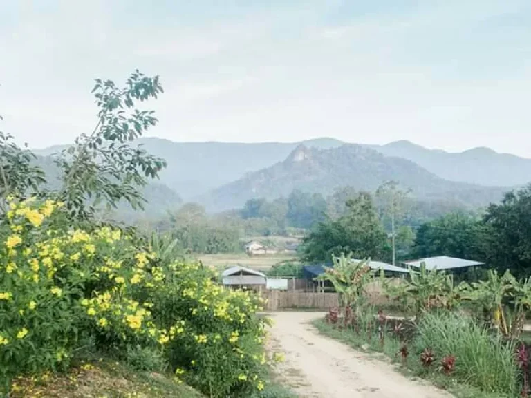 ขายที่ดินพร้อมร้านอาหาร บนม่อนสรอย สถานที่กางเต้นใกล้แหล่งชมวิว บรรยากาศดียามหนาว สวยเย็นใจ