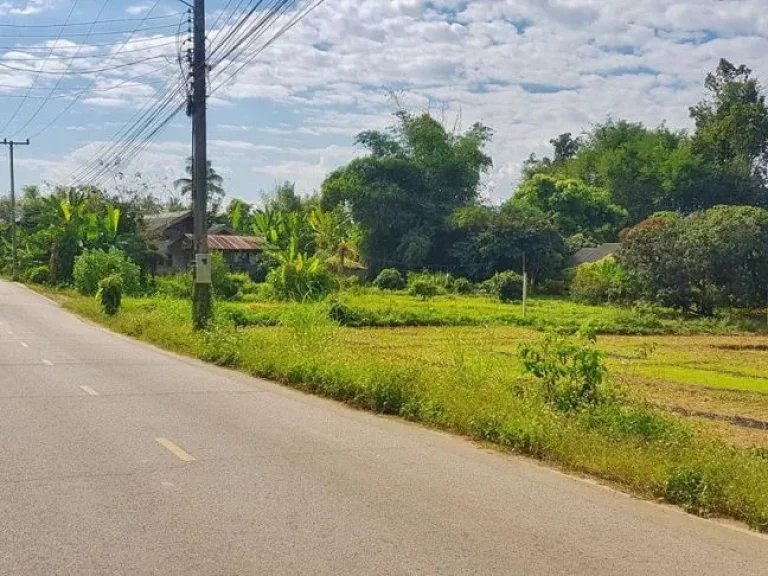 ขายที่ดินติดถนนลาดยาง ติดลำเหมือง วิวเขาสวย แม่แตง เชียงใหม่