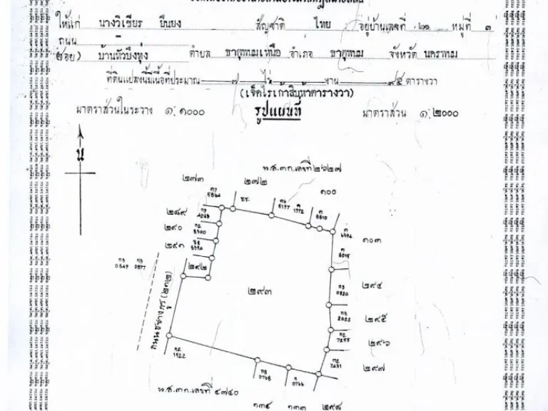 ขายที่ดินทำเลทองย่านธุรกิจอำเภอธาตุพนม