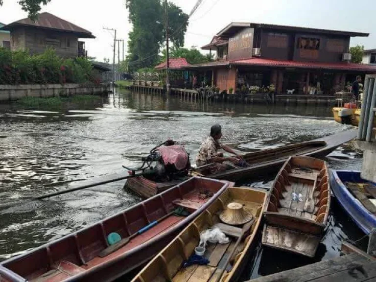 ขายที่ดินเปล่า 91 ตรวติดคลองสนามชัยตรงข้ามตลาดน้ำวัดไทร