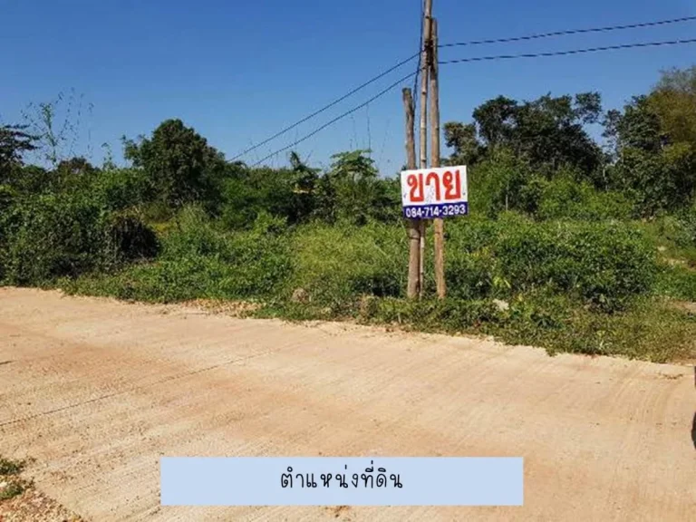 ขาย ที่ดิน 3 งาน 15 ตารางวา C56 ใกล้เทศบาลหนองปลาบาก 315 sqwa land at Sri Chiangmai District Nongkhai Province for sale