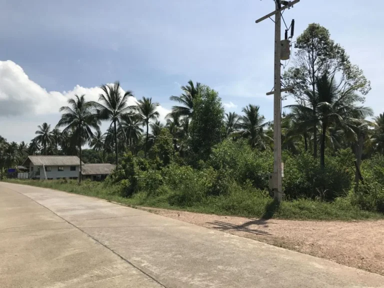 ขายที่ดินเกาะยาวใหญ่พังงา