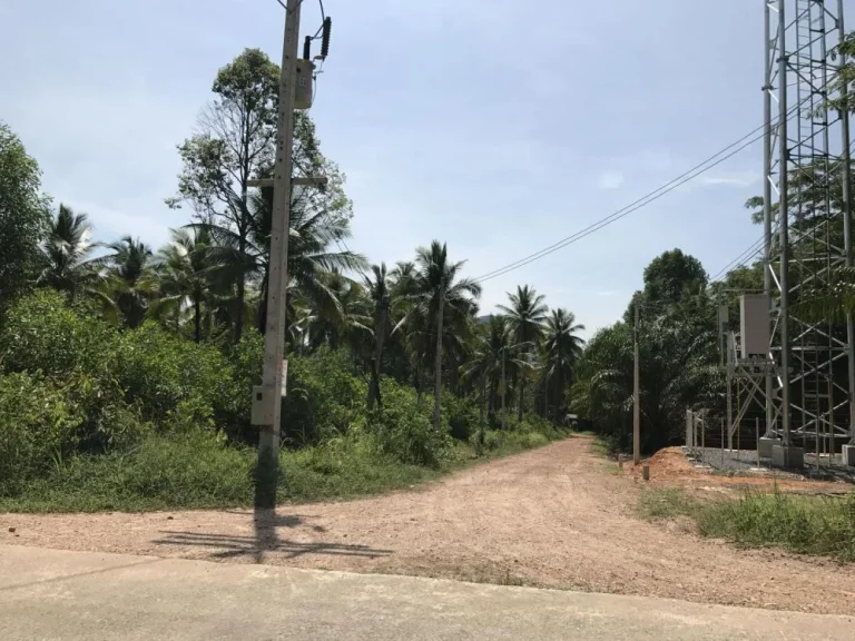 ขายที่ดินเกาะยาวใหญ่พังงา