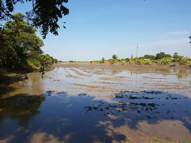 ขายที่ดินปทุมธานี ใกล้ถนนกาญจนา 20 ไร่ ถูกกว่าตลาด