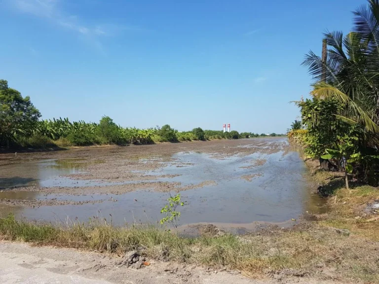 ขายที่ดินปทุมธานี ใกล้ถนนกาญจนา 20 ไร่ ถูกกว่าตลาด