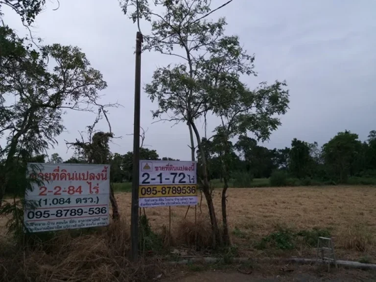 ขายที่ดิน 2-1-72 ไร่ 972 ตรว เลควูดคันทรีคลับบางนา 229 ล้านแปลงสวยติดเลค เงียบสงบ ซอยเลควูด 13 อ้อน 095-8789-536