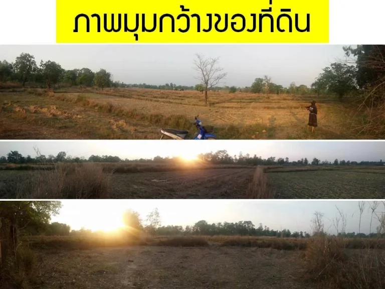 ขายด่วน ที่ดินทำเลเยี่ยม 21 ไร่ ใกล้ ม นครพนม ห่างถนนใหญ่เพียง 300 เมตร