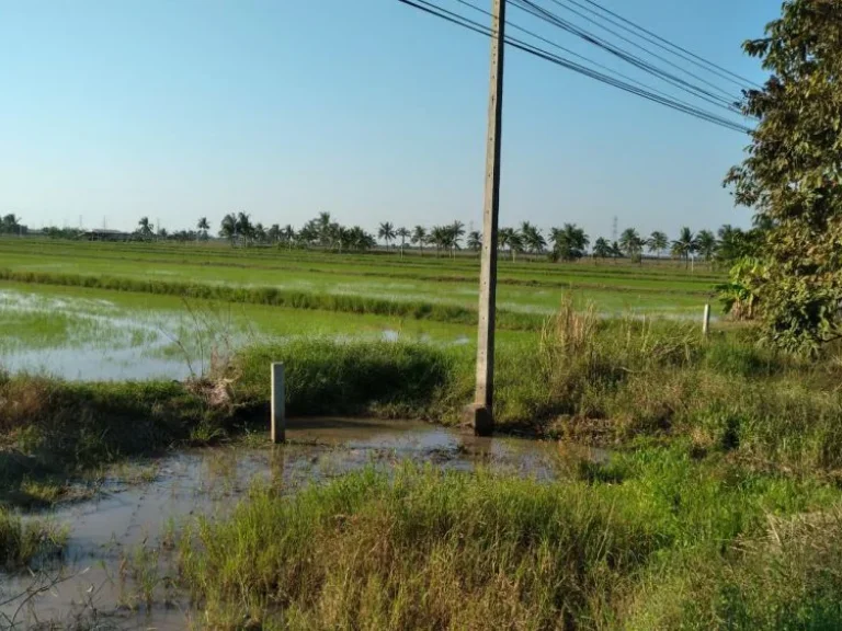 ขายที่ดิน 4ไร่ ตดอนฉิมพล อบางน้ำเปรี้ยว เจ้าของขายเอง