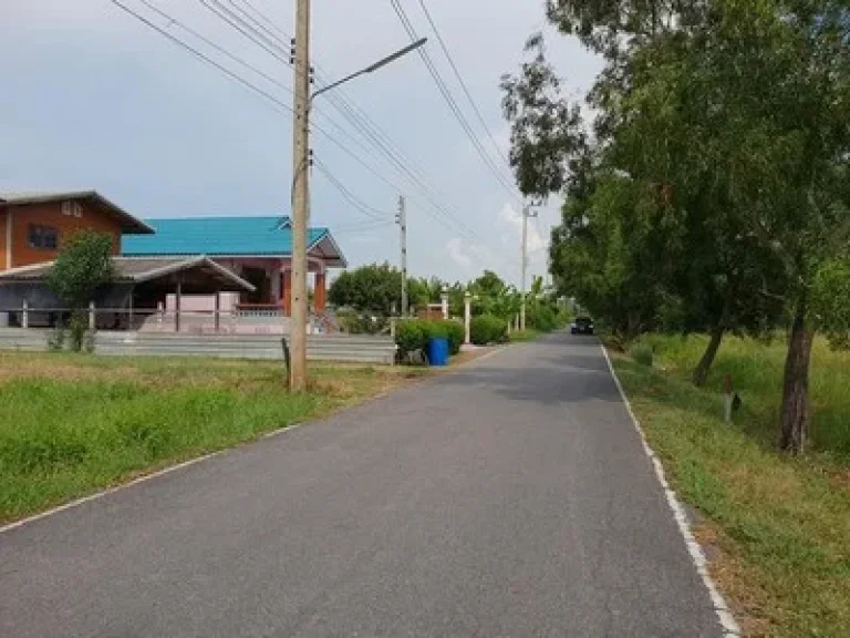 ขายที่ดินเปล่าแปลงสวย 100 ตรว ซคลองสาม 103 ใกล้วัดพระธรรมกาย ตลาดไท ตลาดไอยรา