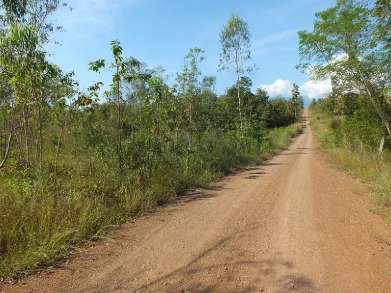 ขายที่ดินสำหรับสร้างบ้านโฉนด 388 ตรว อภูกระดึง จเลย