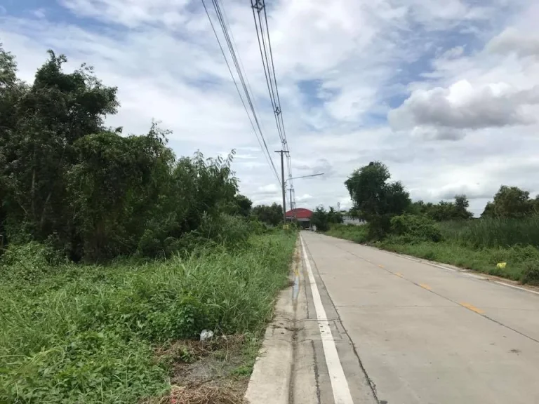 ขายด่วน ที่ดินถมแล้ว ซอยเทพกุญชร35 ตคลองหนึ่ง อคลองหลวง จปทุมธานี