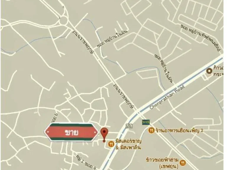 ขายที่ดิน134วาแยกพืชสวนโลก