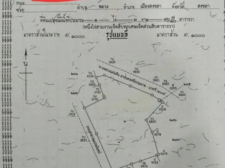 ขายรีสอร์ทติดห้าแยกน้ำกระจาย ที่ดิน2ไร่ บ้านพัก 27 หลัง