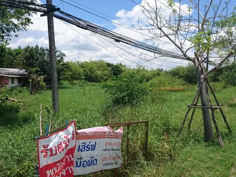 ขายที่ดินติดถนน อวังสะพุง จเลย