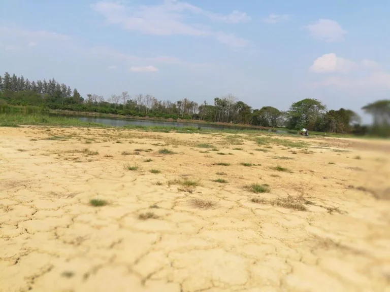 ขายที่ดินหนองแฝก ห่าง โรงเรียนวชิราลัย สารภี 3 km