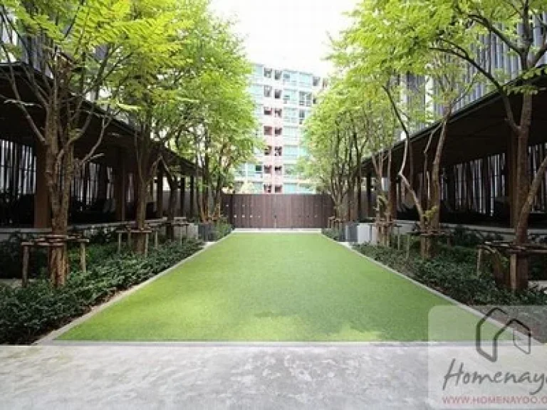 เช่า Quinn Condo ขนาด 52 ตรม 30000 Rent Quinn Condo size 52 sqm 30000