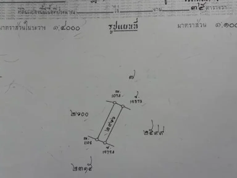 ด่วน ลดราคา ให้เช่าที่ดินถมแล้ว 101 ตรว หน้ากว้าง 15 ม ริมถนน จภูเก็ต