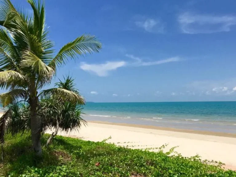 ขายที่ดินติดชายหาดทะเล แม่พิมพ์ เหมาะทำอาคารชุดหรือโรงแรม