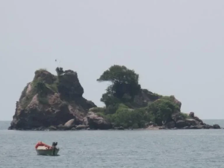 ขายที่ดินติดชายหาดทะเล แม่พิมพ์ เหมาะทำอาคารชุดหรือโรงแรม