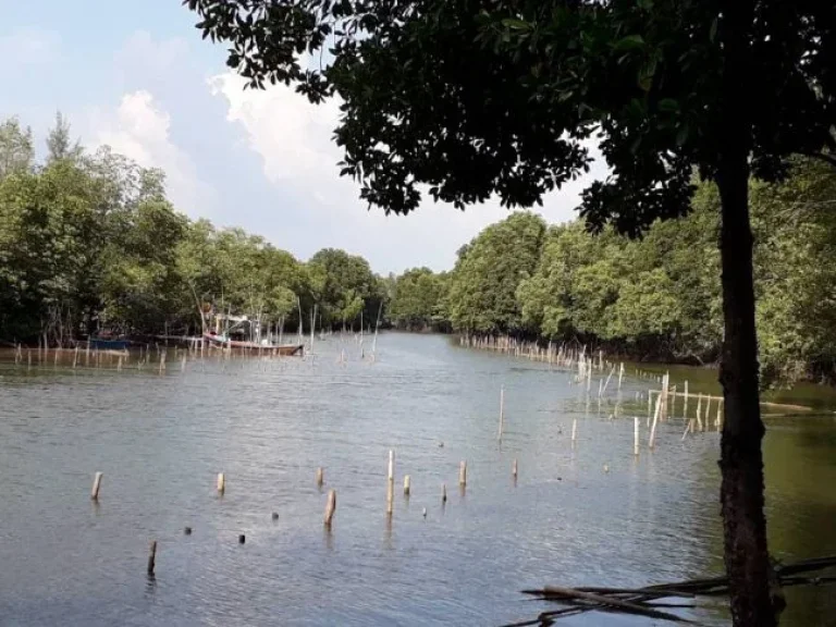 ขายที่ดินติดคลองขนานชายทะเลและหาดแม่พิมพ์ โฉนด 1 ไร่กว่า เหมาะทำคอนโดมิเนี่ยมติดทะเล