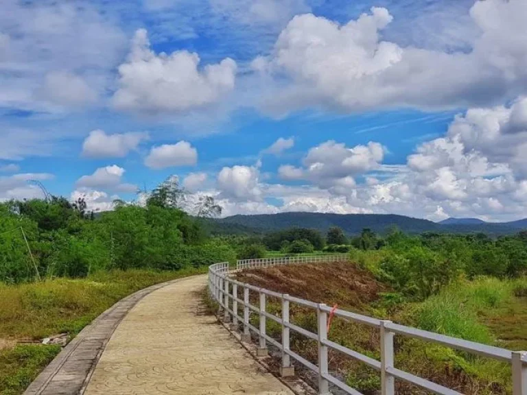 ขายที่ดินติดน้ำปิง ติดถนนคอนกรีต ที่สวนไฟน้ำพร้อม ที่ตั้ง ตขี้เหล็ก อแม่แตง จเชียงใหม่ เนื้อที่ 3 งาน 47 ตารางวา ต้องการขาย 1550000 บาท ราคาต่อร