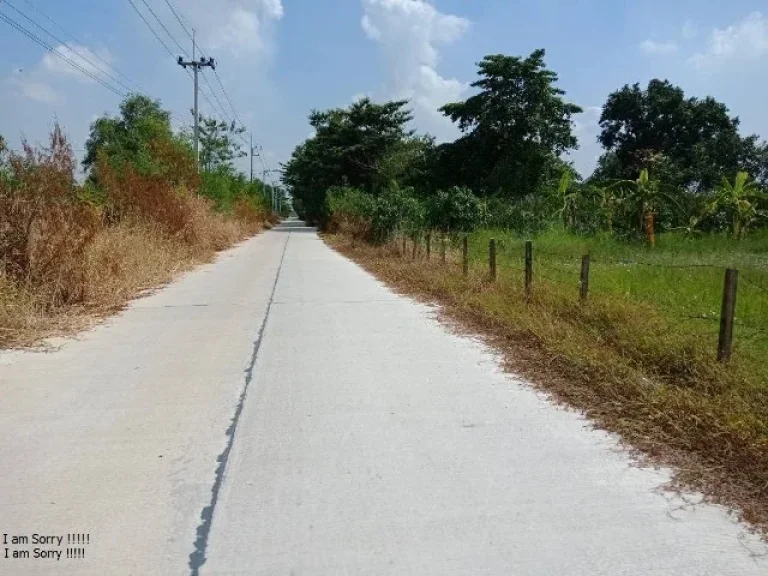 ขาย ที่ดินเปล่า 2 ไร่ อลำลูกกา จปทุมธานี