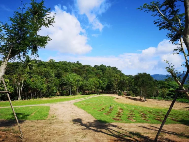 ขายที่ดินชลบุรี ติดลำห้วยธรรมชาติ ใกล้น้ำตกชันตาเถร -- Land for sell in Bangpra Sriracha with natural stream