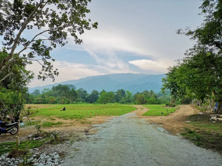 ขายที่ดินชลบุรี ติดลำห้วยธรรมชาติ ใกล้น้ำตกชันตาเถร -- Land for sell in Bangpra Sriracha with natural stream