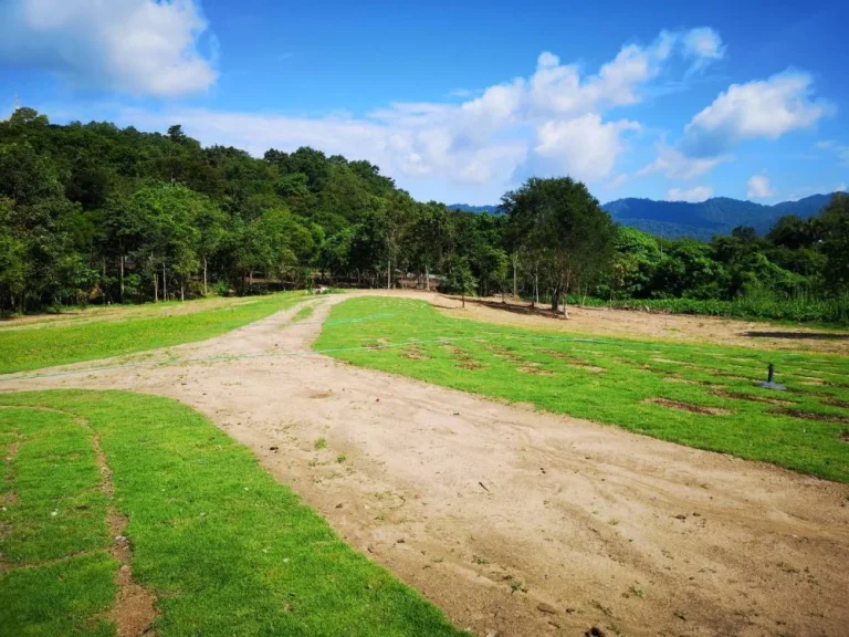 ขายที่ดินชลบุรี ติดลำห้วยธรรมชาติ ใกล้น้ำตกชันตาเถร -- Land for sell in Bangpra Sriracha with natural stream