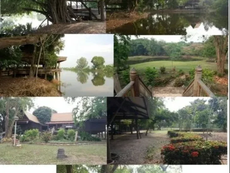 ขายที่ดินริมแม่น้ำ พร้อมเรือนไทย อายุเกือบ 100 ปี อบางไทร จอยุธยา