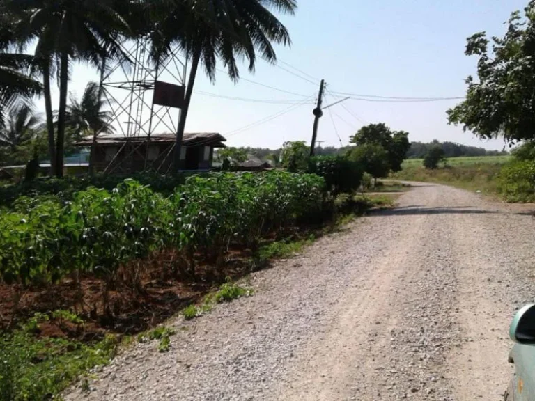 ขายที่ดิน 12 ไร่ เศษ ถนนสาย 2260 ตลำสนธิ อลำสนธิ จลพบุรี