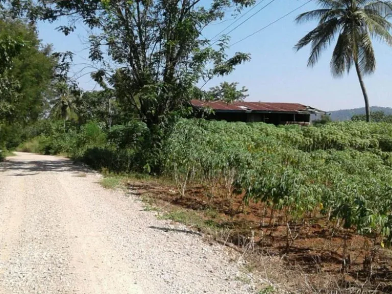 ขายที่ดิน 12 ไร่ เศษ ถนนสาย 2260 ตลำสนธิ อลำสนธิ จลพบุรี