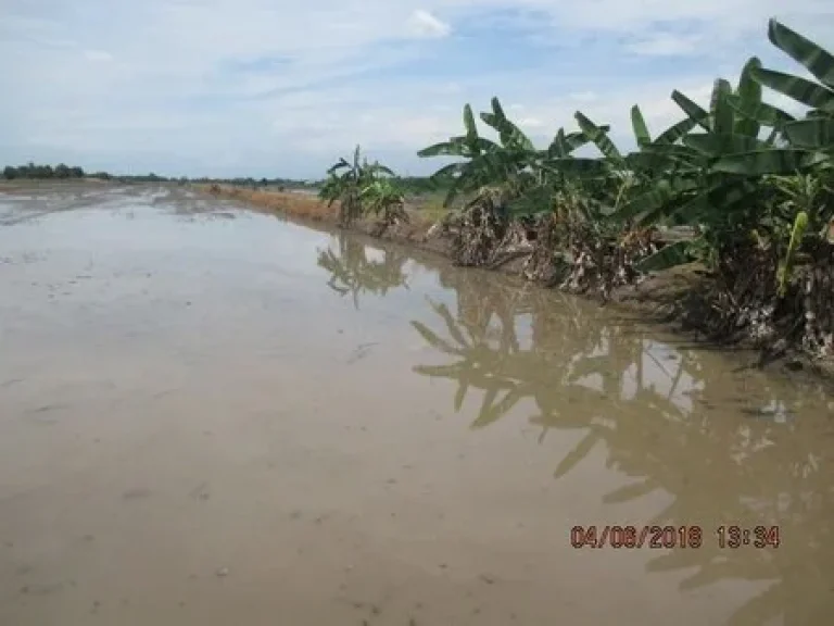 ขายด่วนที่ดินสวย หนองจอกราคาพิเศษ ใกล้วัดแสนเกษม 10 ไร่