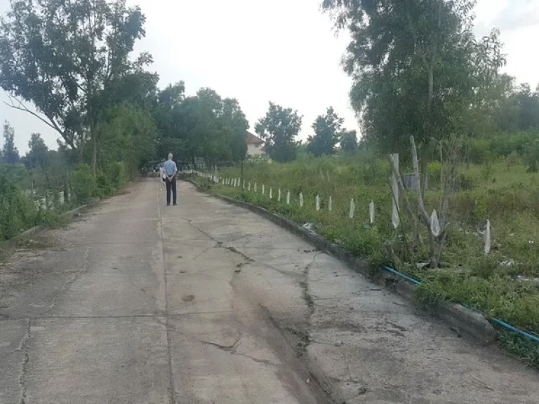 ที่ดิน ซอยคลอง 4 คลองหลวง ปทุมธานี