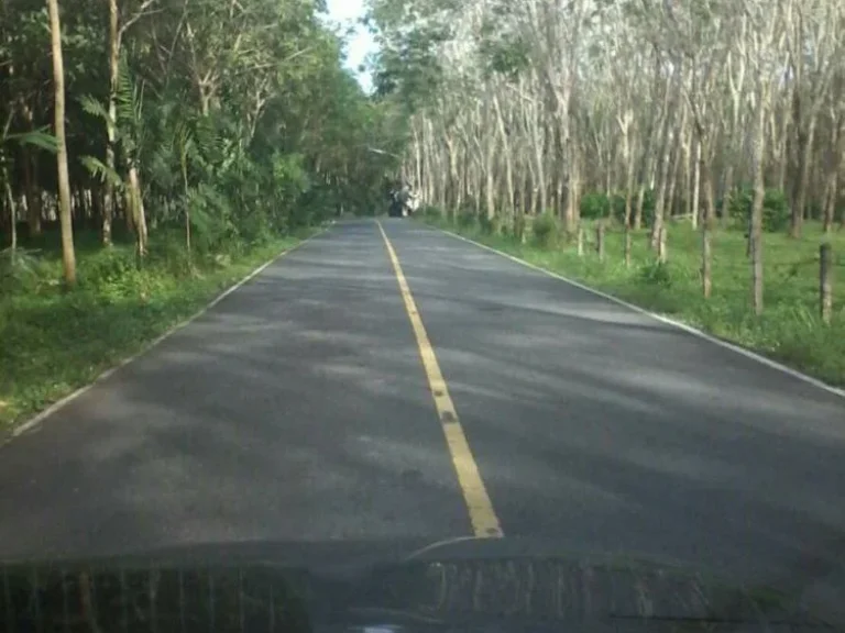 ขายที่ดินแปลงสวย อำเภอถลาง จังหวัดภูเก็ต