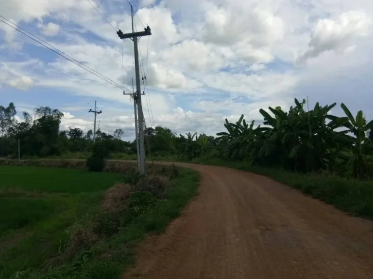 ขายที่ดินติดแม่น้ำป่าสัก จเพชรบูรณ์