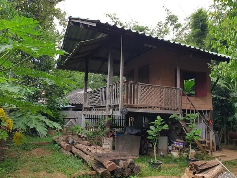 House for rent for Business in natural area near by Doikham Temple and Ratchapruk Royal