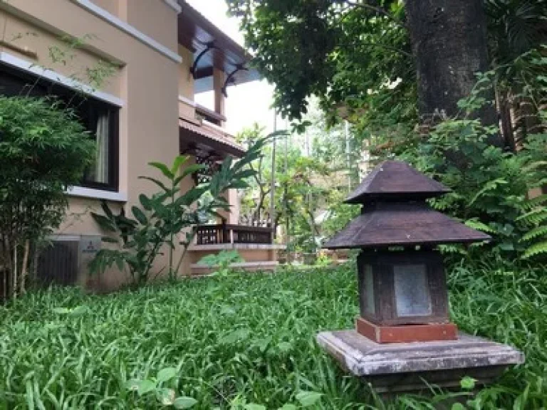 Fire Sale Resort ampamp Business in Chiangmai1-2-76 sqwah 525 MTHB