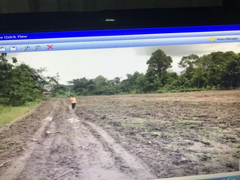 ขายที่ดิน บ้านแหลมเจดีย์ ติดถนนสายบางระกำ-ลานกระบือ พิษณุโลก