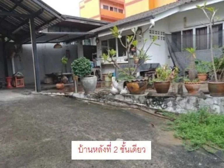 ขายที่ดิน 147 ตรว ซลาดพร้าว83 พร้อมบ้านชั้นเดียว 2 หลัง ใกล้รถไฟฟ้าสายสีเหลือง ใกล้ทางด่วน