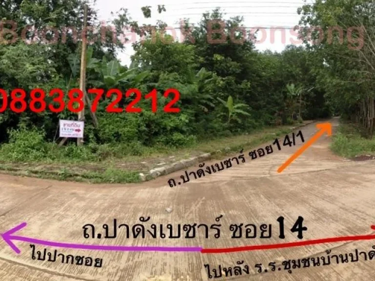 ขายที่ดินสวนยางพารา มีโฉนดที่ดิน ทำเลดีมาก