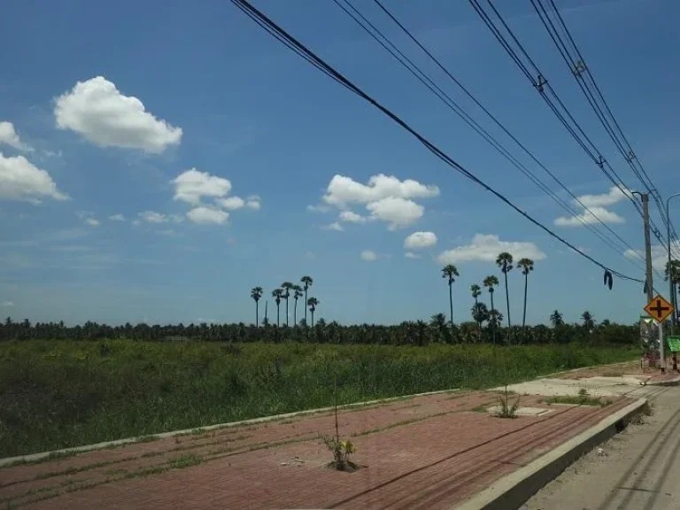 ขายที่ดิน 18 ไร่ ริมถนนศาลายา-นครชัยศรี นครปฐม ใกล้เซ็นทรัลศาลายา ผังเมืองสีชมพู