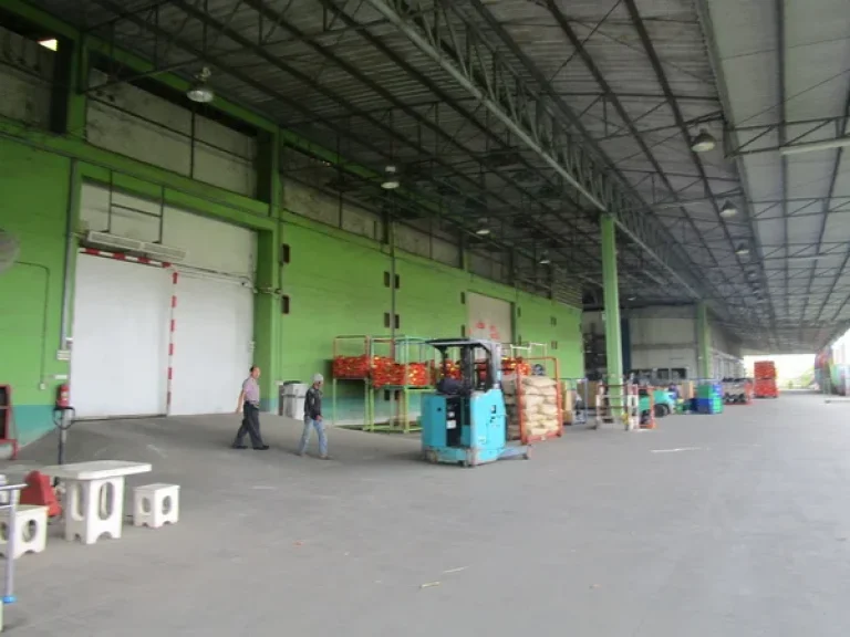 Cold StorageWarehouse Thep Kunchon2 Khlong Luang Pathum Thani